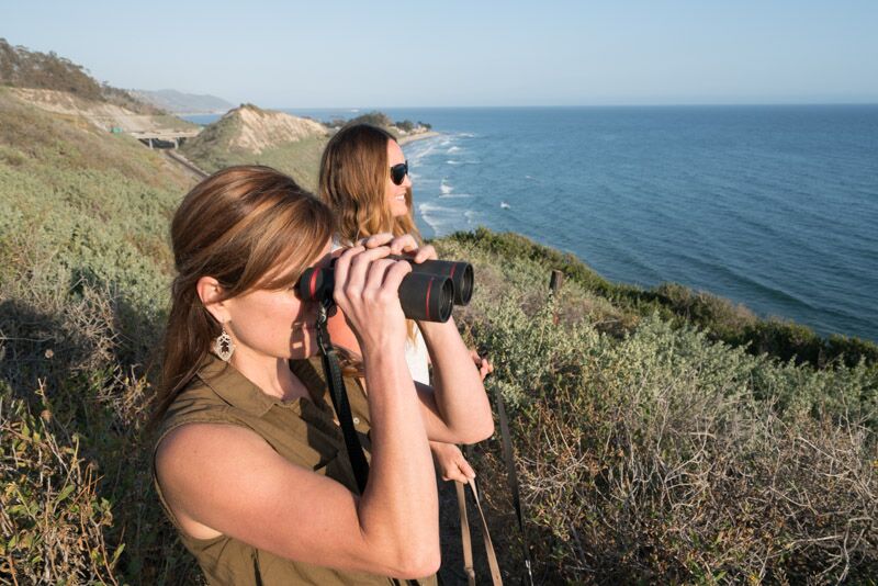 carpinteria-bluffs-binoculars